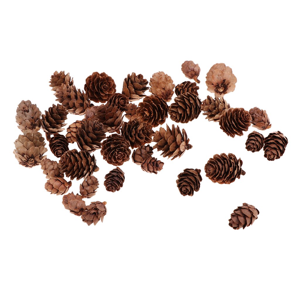 50 Pcs Decoratieve Dennenappels Ongeparfumeerde Voor Fall Winter Thuis