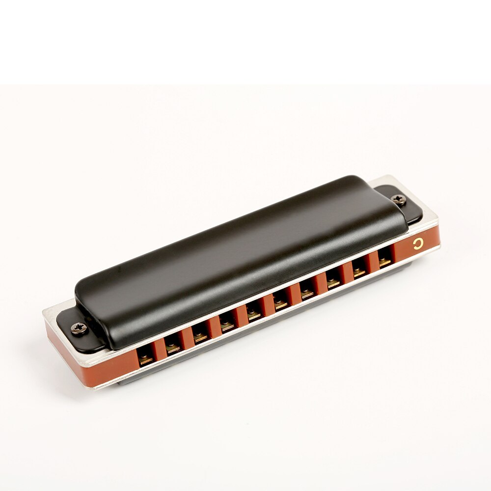 Jazz Blues 10 Holes Harmonica Musical Instrument