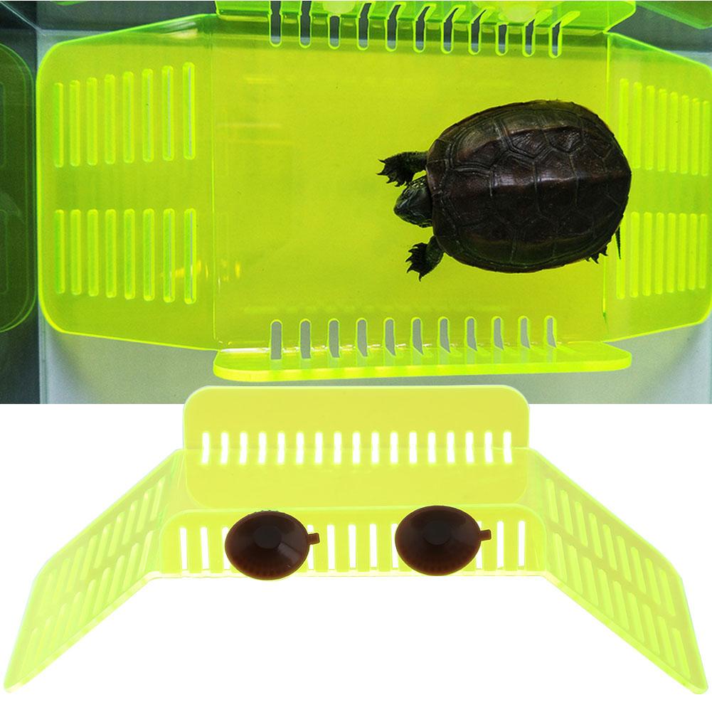 Reptile Tortoise Basking Platform Decoration Torto... – Grandado