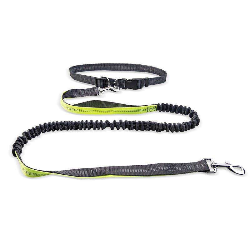 Handsfree-juoksu kävely lemmikkikoira lyijy heijastin säädettävä pentu koiran talutushihna koirille ketju lemmikit koirat tarvikkeet correa perro: Vihreä