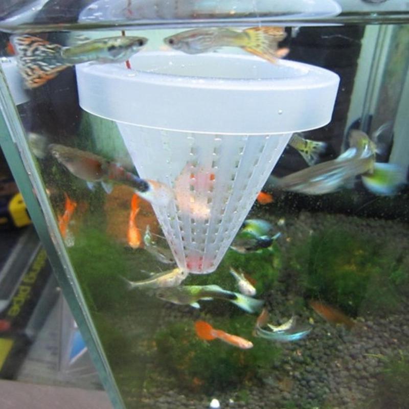 1pc Plastic Tapered Hopper Feeder With Suction Cup Food Funnel Red Feeding Supplies Cone Live Fish Basket Worm Tank For Aqu K7B0