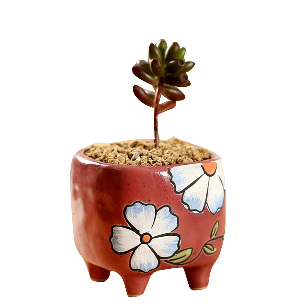 Planta de macetas suculentas económicas macetas de jardín macetas de cerámica planta de macetas er jardín al aire libre decoración del hogar ds99: N25-red