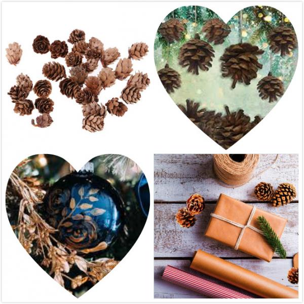 60 Pieces Natural Pine Cones for Christmas Fall Thanksgiving Harvest Autumn Party Craft Accessory Decorations