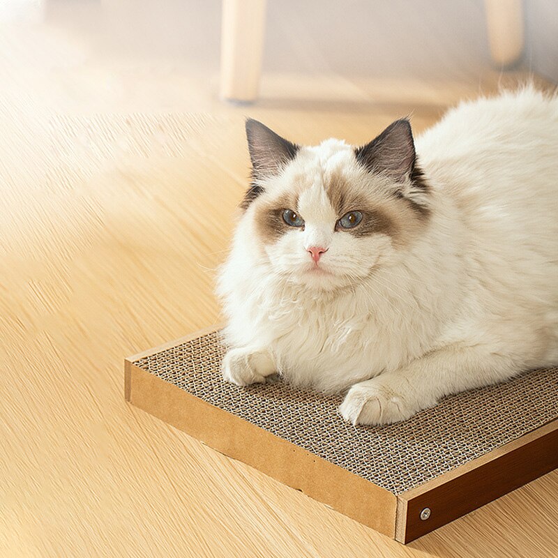 Huisdier Meubels Producten Afneembare Kat Scratcher Board L-Vormige Cat Schraper Krabpaal Voor Katten Slijpen Klauw Klimmen Speelgoed