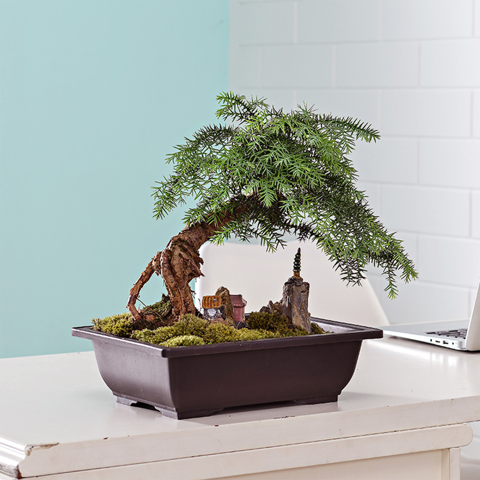 2Pcs Rectangular Square Plastic Flowerpots Imitation Purple Clay Succulent Plants Pots Outdoor Garden Landscape Potted Trays