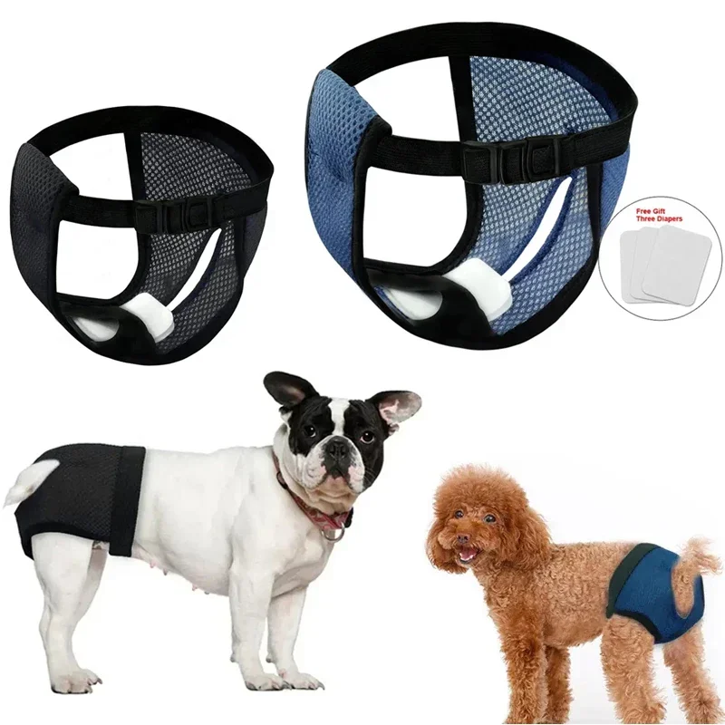 Cuecas menstruais laváveis fisiológicas para animais de estimação, cuecas higiênicas à prova de vazamento para cães pequenos e grandes, roupa íntima sanitária para animais de estimação