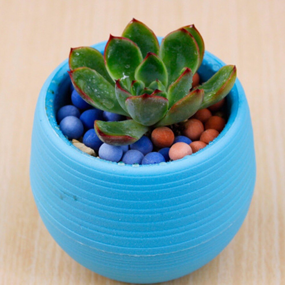 Farverig regnbue plastik sten pille urtepotte hjemmekontor have balkon sukkulenter planter desktop potter lille potte