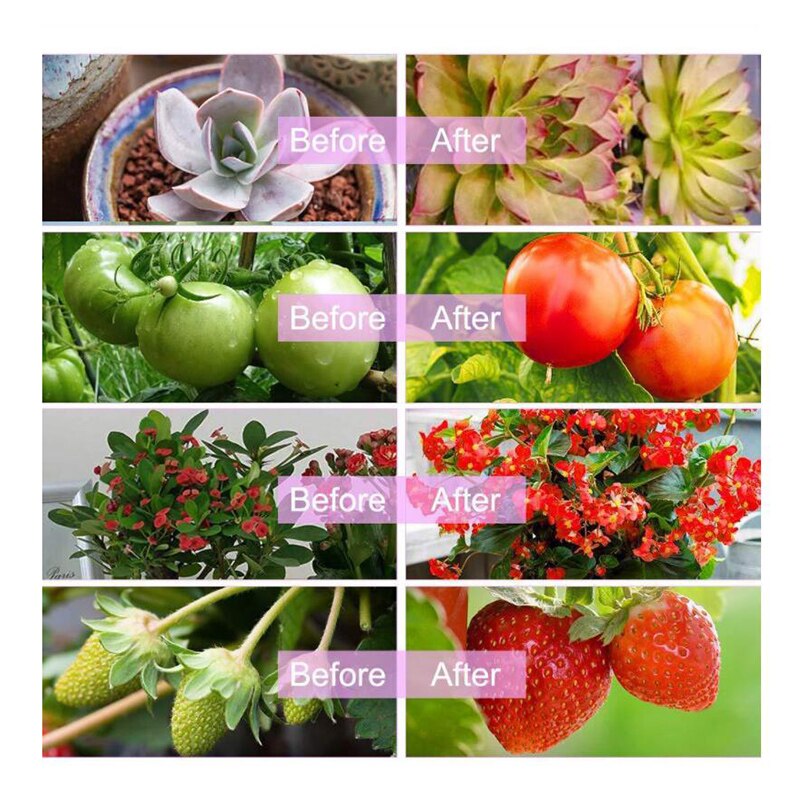 20W Solar Panel LED Grow Light 5V Grow Light Strip 2835 Full Spectrum Chip Lamp Beads For Plants Greenhouse Hydroponic Growing