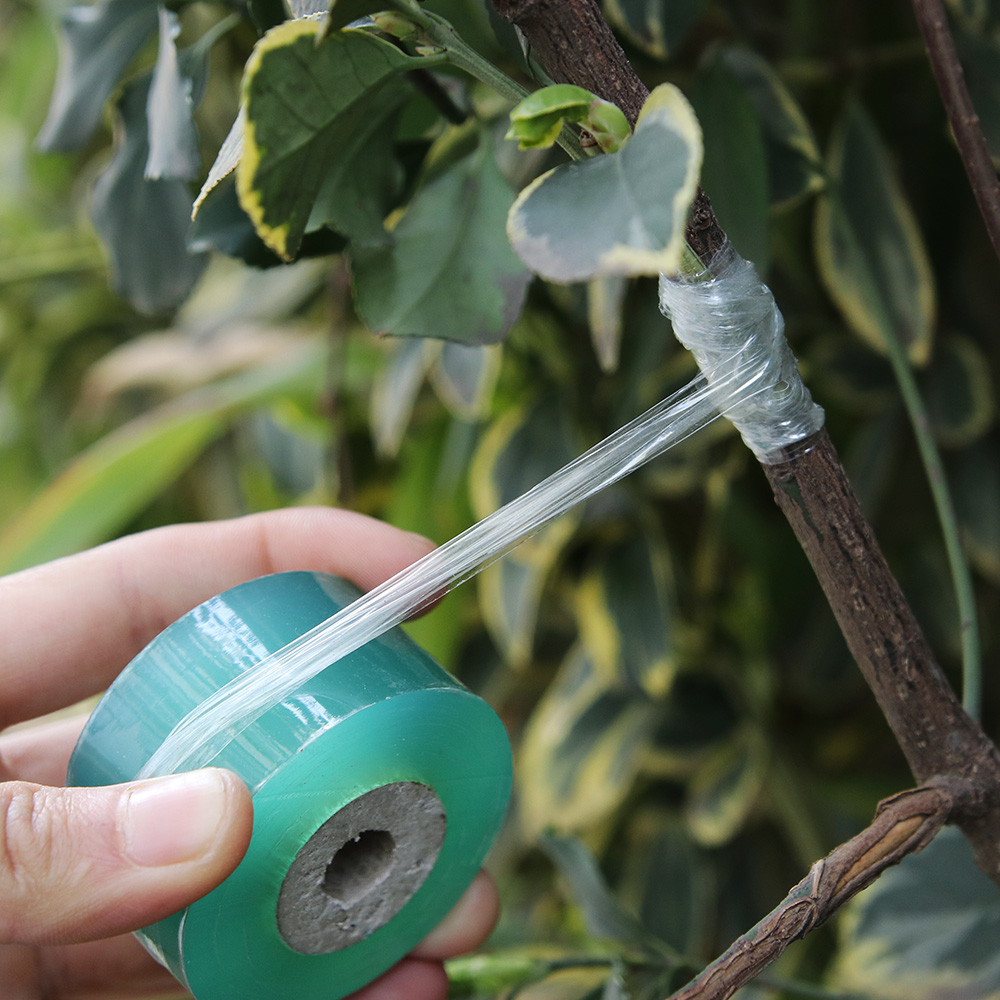 100M/roll Grafting Tape Garden Tools Fruit Tree Secateurs Engraft Branch Gardening bind belt PVC tie Tape Plant Tree Tape