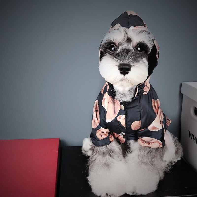 Abrigo impermeable para perros y gatos, gabardina para perros, Bulldog Francés, osito Schnauzer a prueba de viento y resistente a la lluvia, tendencia de