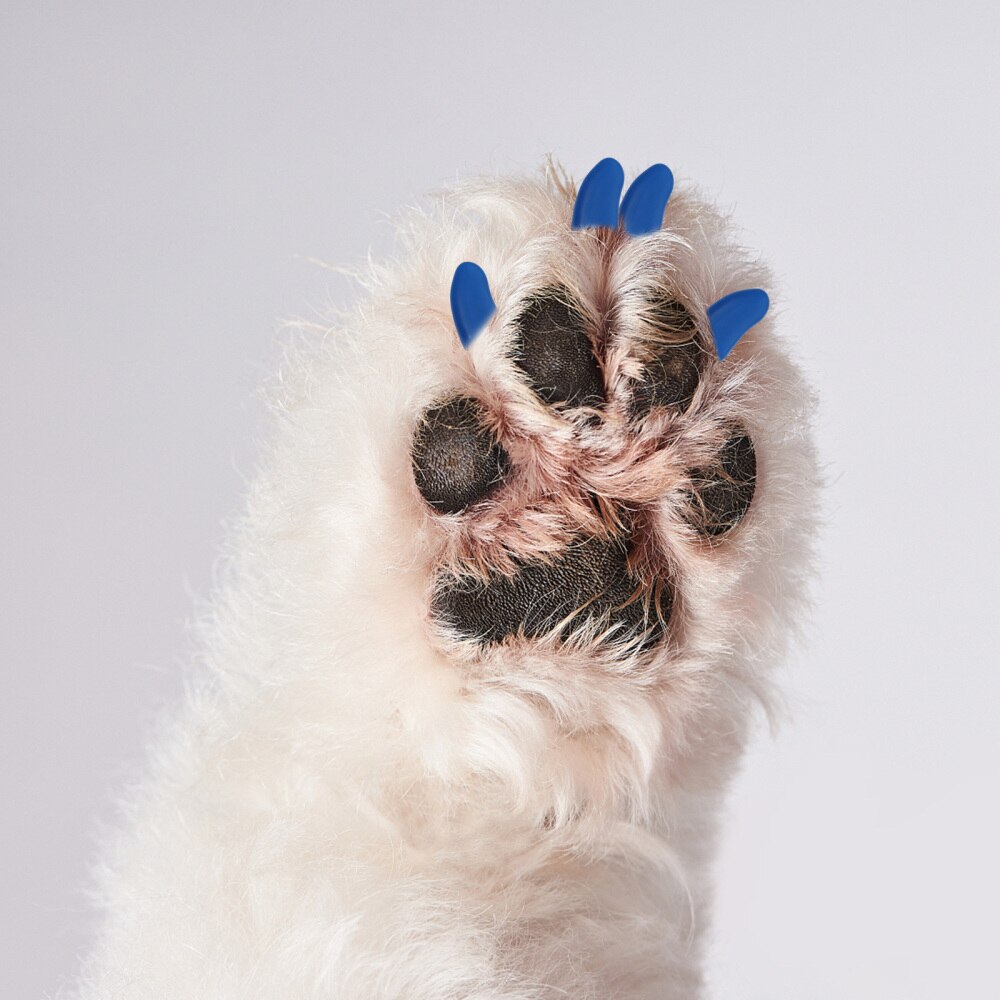 2 Set Nail Protector Protective Cat Claw Caps Cat Claw Covers for Dog Pet