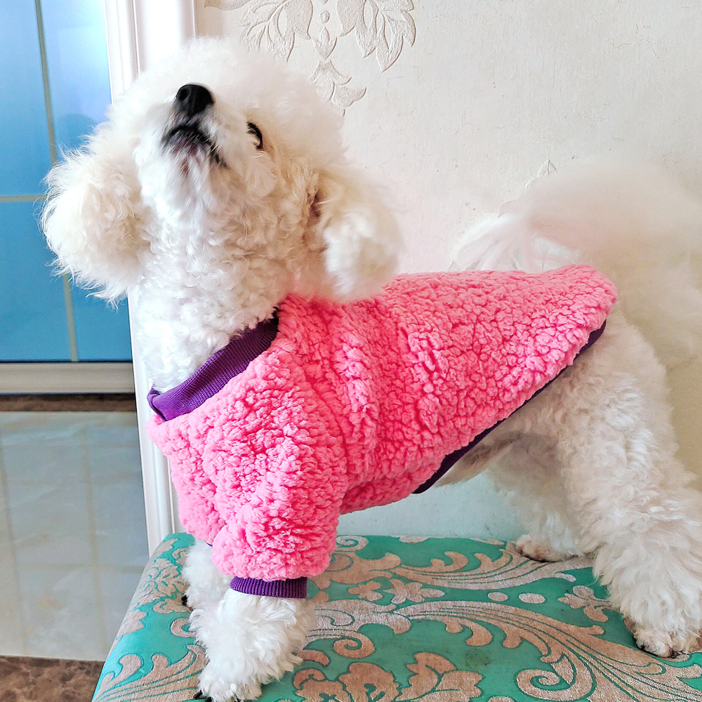 Manteau d'hiver doux pour chat, vêtement pour petit et moyen gabarit, chiot, chaton, Chihuahua, Yorkshire