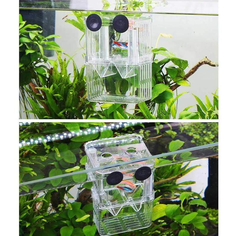 Large Acrylic Fish Breeding Box Aquarium Breeder Box Hatching Supplies Aquarium Double Incubator Pet Guppies Isolation S/L P0S3