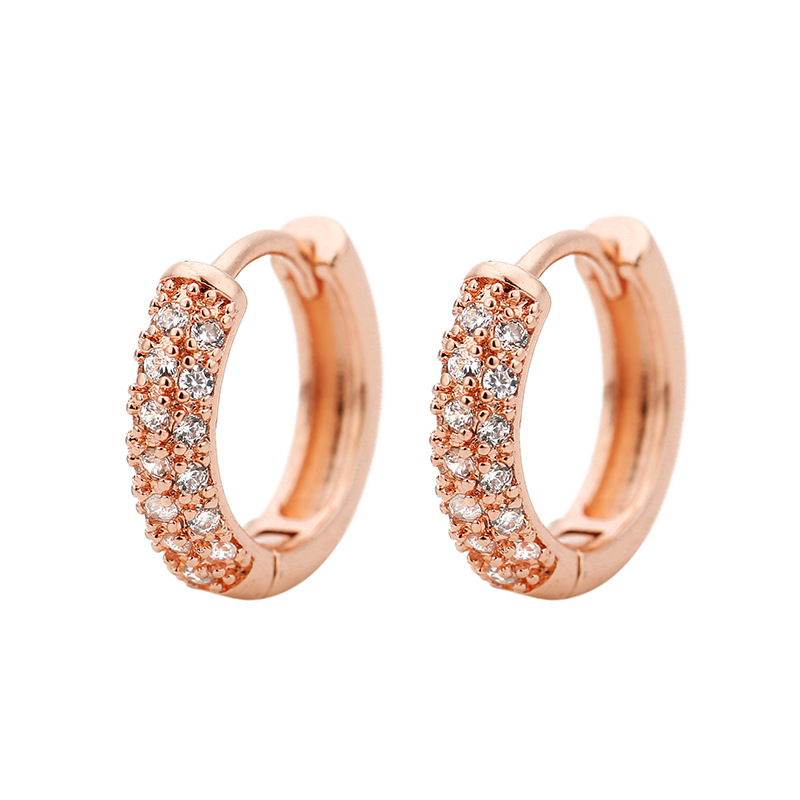 Kleine Cirkel Hoepel Oorbellen Voor Vrouwen Rose Gold Cz Zirconia Ronde Oorbellen Oor Piercing Sieraden Brincos Bijoux: E331Rose Gold W