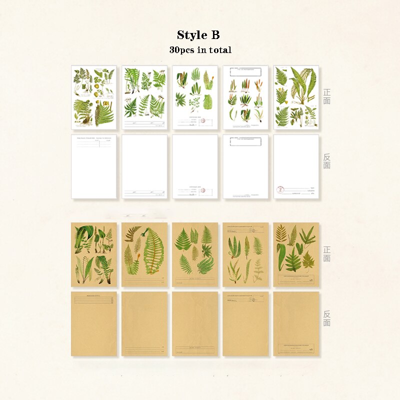 Mr.Paper 30pcs/pack 8 Designs Plant Material Paper Diary Scrapbooking Diary Planner Decorative DIY Craft Paper Stationery: B