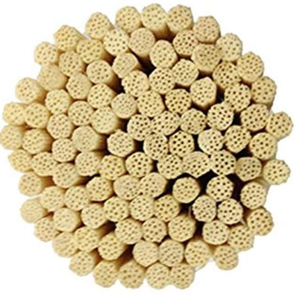 100Pcs Rattan Reed Sticks Fragrance Reed Volatile Accessories for Natural Plant Diffuser Rattan Sticks Fragrance Diffuse