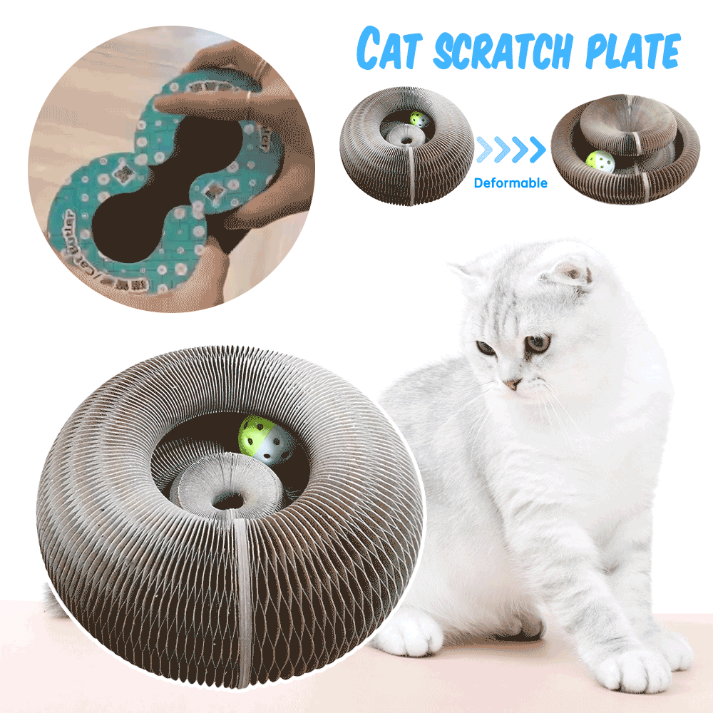 Organo magico Cat Scratch Board giocattolo per gatti con campana gatto rettifica artiglio Cat Climbing Frame Cat Scratch Toy