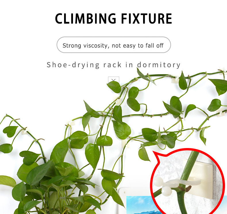 20 stk usynlig væg vinstokke armatur rattan klemme klip væg klæbrig krog klatre vin plante fixer haveindretning holder plante stent
