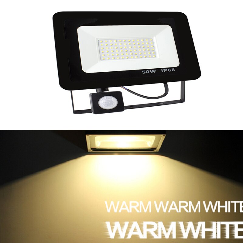 10W 20W 30W 50W 100w 150w 200w garden search Wall lamp led flood light outdoor projector Landscape PIR Motion sensor light AC220: PIR Warm White / 20W  AC220V