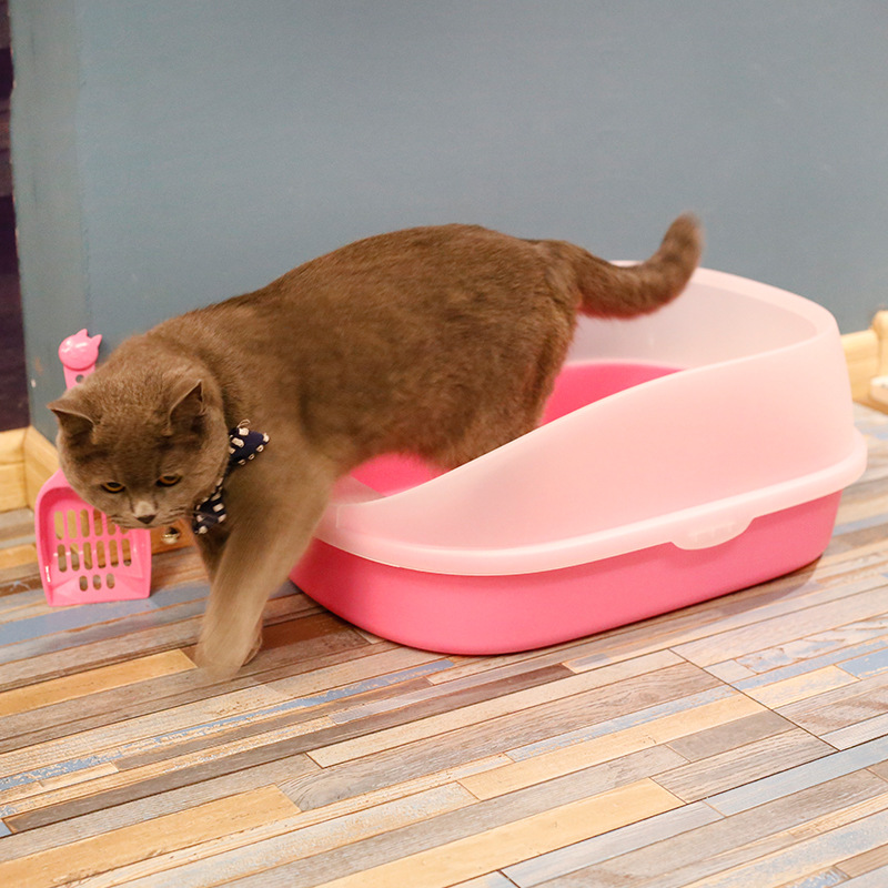 trockenfutter dackel Hunde Trockenfutter online bestellen