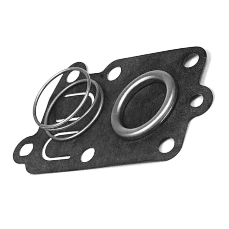 1 sett forgasser passer til briggs & stratton 270026 5021 forgasser pumpe membran pakninger sett hage verktøy deler