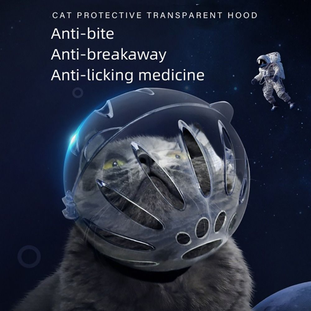 Masque muselière respirant et robuste, couvre-tête de chat, capuche spatiale, casque de protection pour chaton en forme de boule, Anti-morsure, fournitures de toilettage pour animaux de compagnie