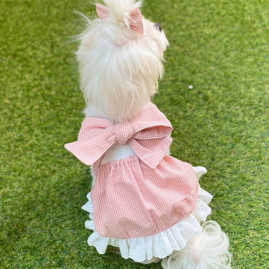 Jupe à carreaux rose pour animaux de compagnie, vêtements pour chiens et chats, Teddy Bichon, chiot