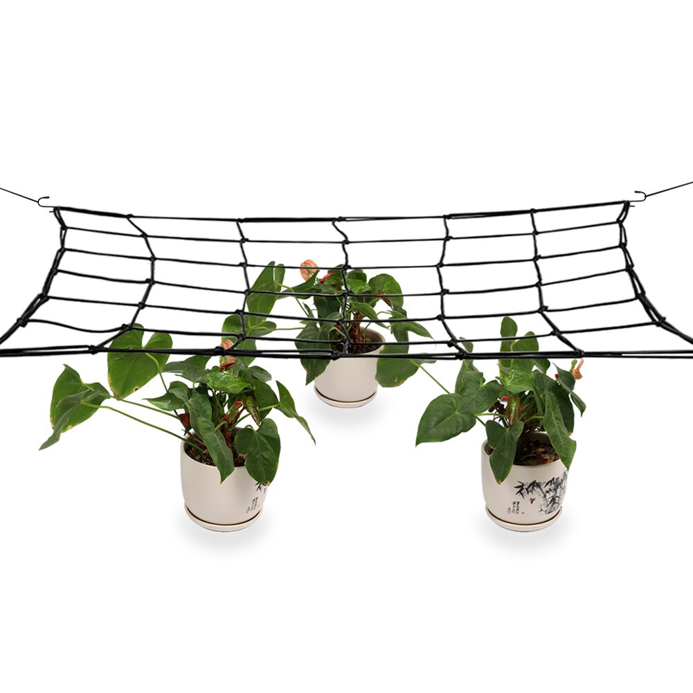 Malla de enrejado elástica de goma para jardín de 80x80 cm, Red de soporte para tienda de cultivo de jardín para plantas de vid trepadora de verduras y flores