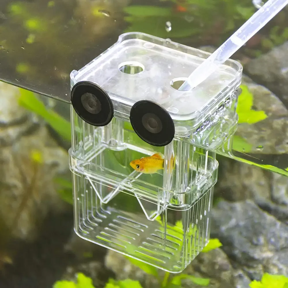 Caixa de criação de aquários de peixes, durável, betta, caixa de isolamento de criação de tanque de peixes, incubadora de incubação para bebês, peixes, camarão