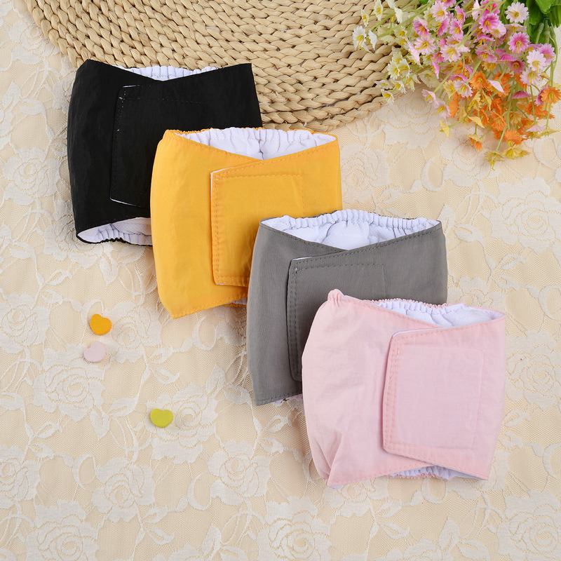 Hund Physiologischen Hosen Pet Sicherheit Hosen Hund Sanitär Windeln Atmungsaktiv Männlichen Welpen Physiologischen Unterwäsche Pet Menstruations Briefs