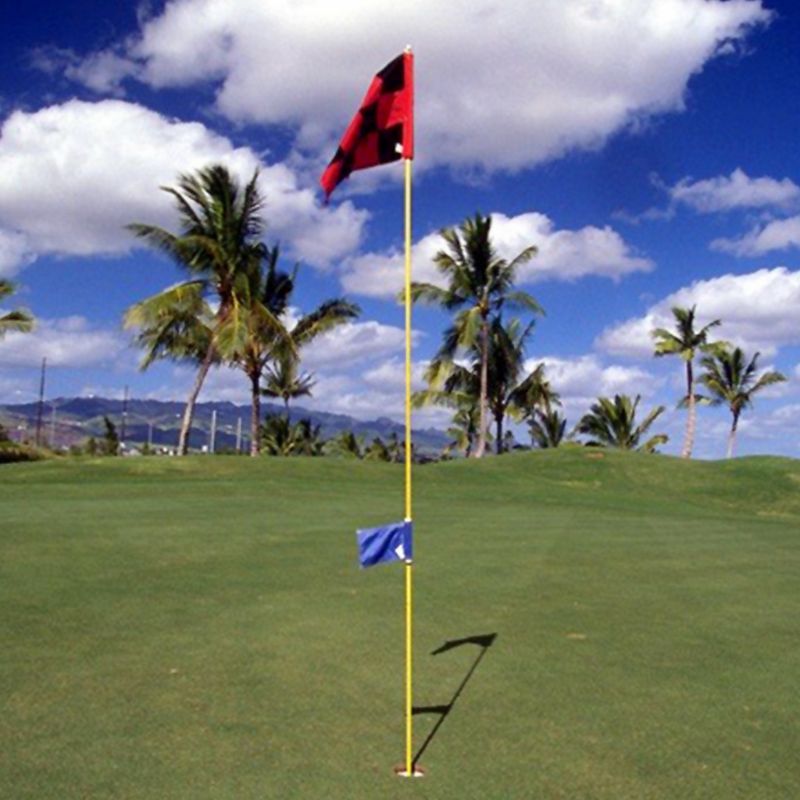 Pratique à carreaux mettant le drapeau de Golf vert avec des drapeaux de cible en Nylon d'entraînement insérés par Tube pour la couleur aléatoire extérieure d'intérieur
