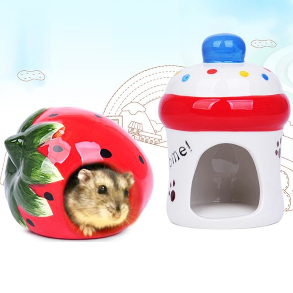 ceramic hamster house