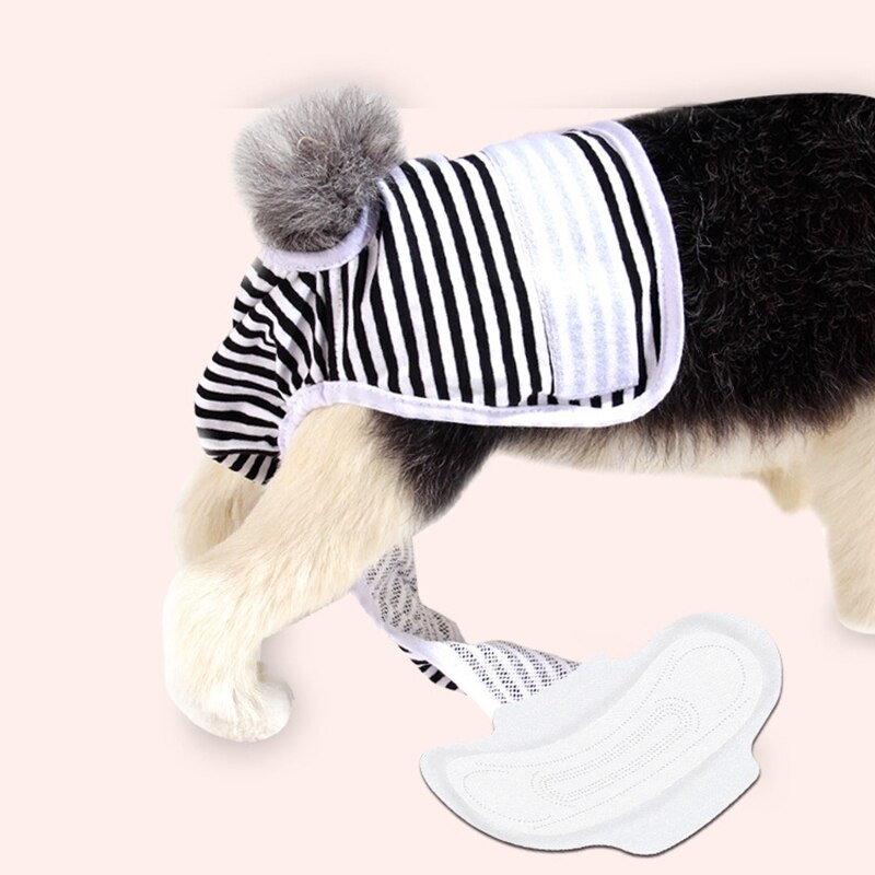 Couches pour chiens femelles, sous-vêtements menstruels, culotte pour chiens Tech de Terek, culottes hygiéniques réutilisables pour protection des chiens