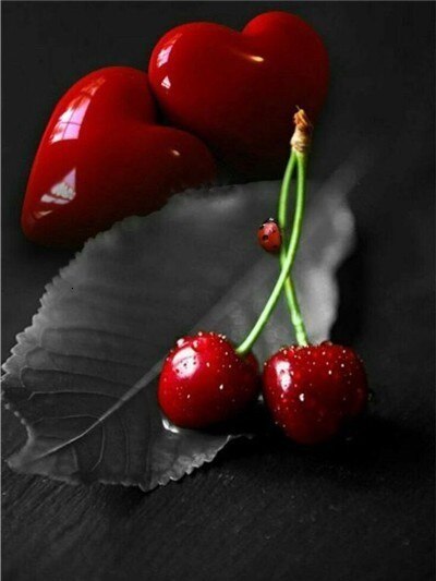 Evershine maling efter tal blomster håndmalet vægkunst billede af tal rose tegning lærred boligindretning: Szes -764