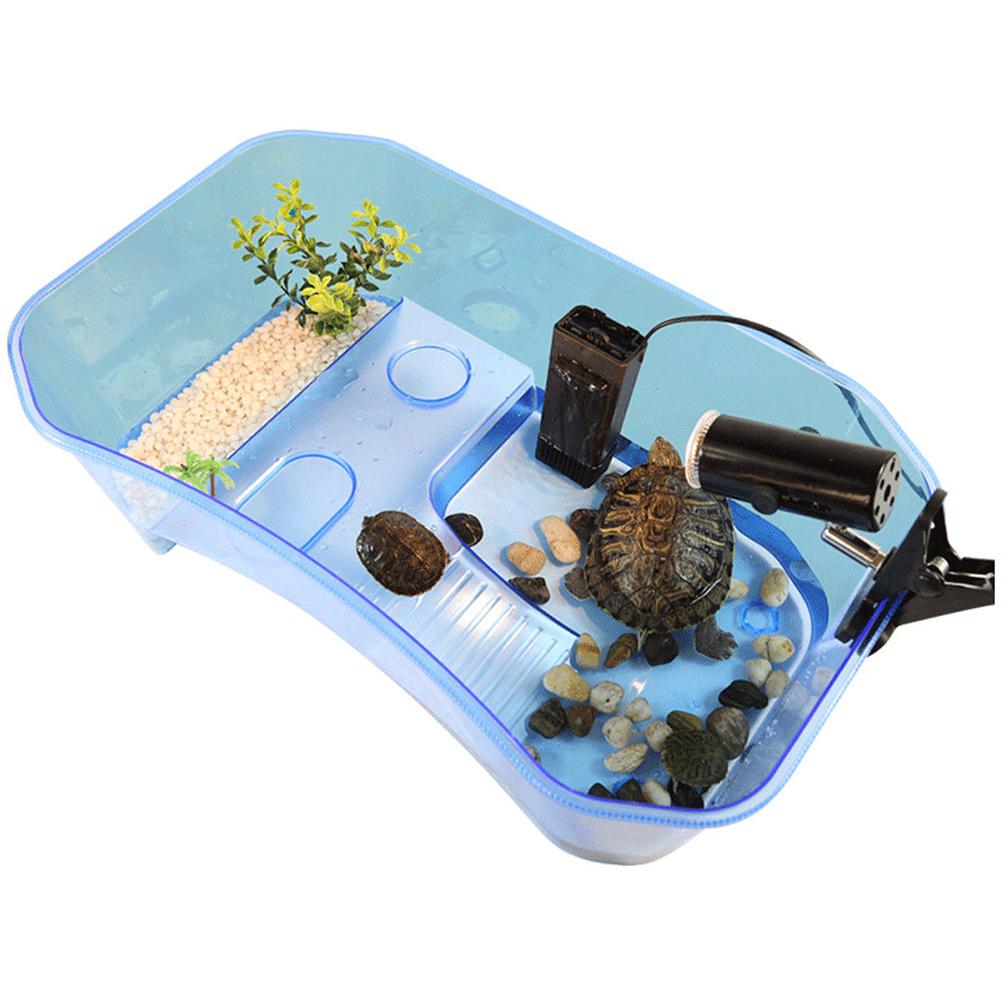 Krybdyr skildpadde skildpadde vivarium kasse akvarietank med basking rampe