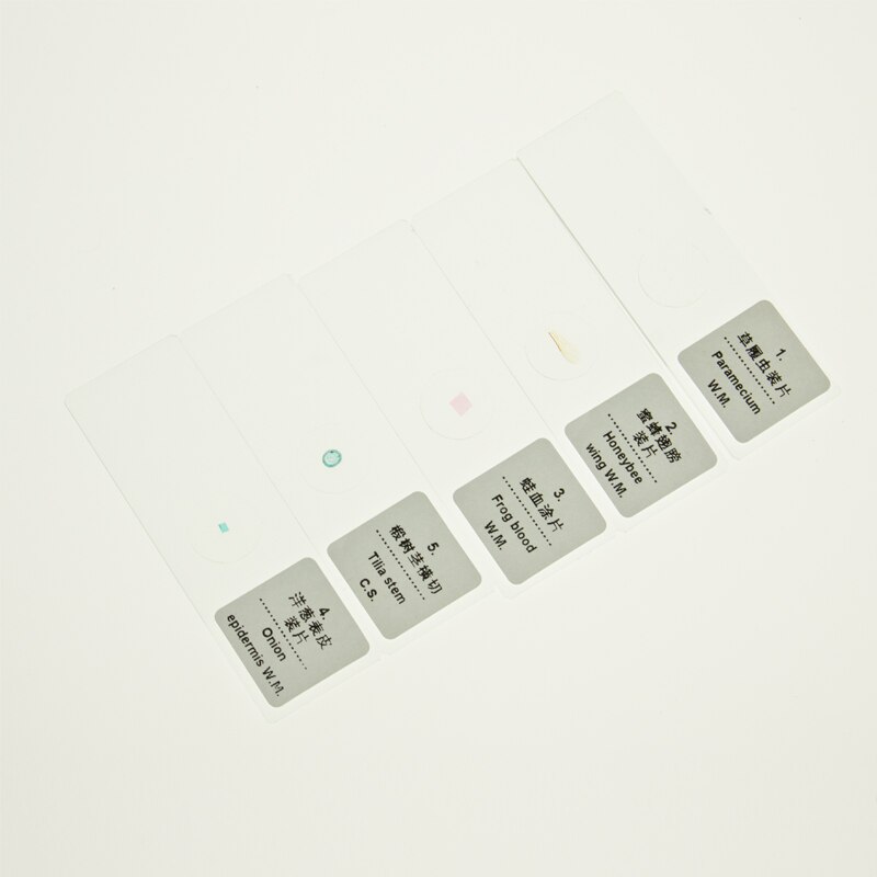 5 Piece Glass Microscope Prepared Slides for Pathology Chemistry Biology Laboratory Equipment Biological sliced