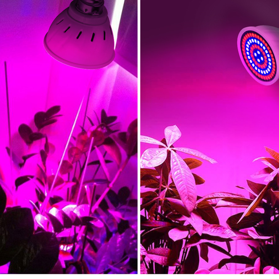 Bombilla LED de espectro completo para cultivo E27 E14 GU10 MR16 220V lámpara hidropónica de invernadero luz de cultivo para plantas de interior lámpara de flores Phyto