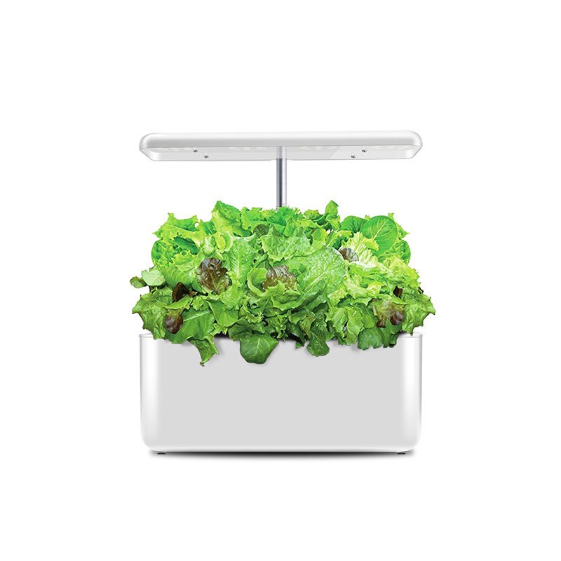 Hydroponics Growing System with LED Grow Light, Indoor Herb Garden Starter Kit, Smart Garden Planter Home Kitchen Hydroponic Kit: White-US Plug