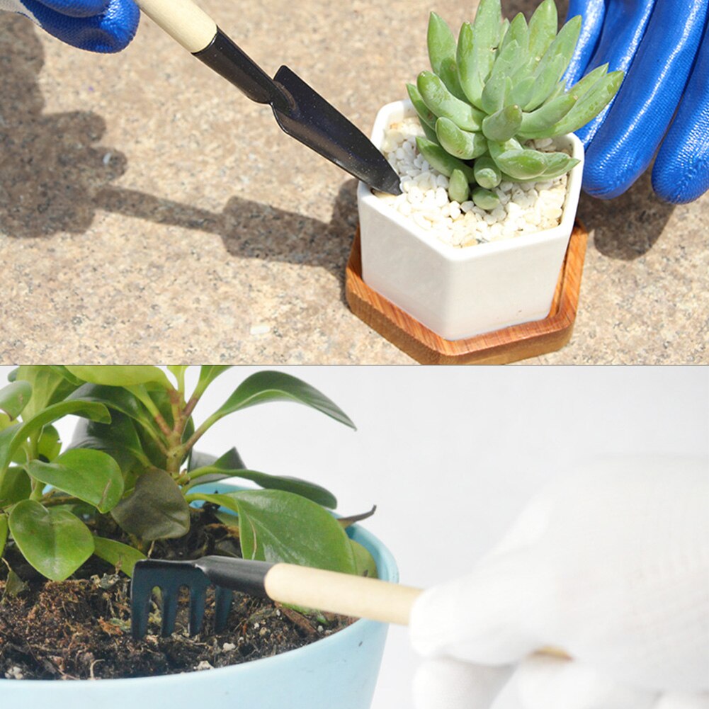DUGYIRS Kit d'outils pour Bonsai,Mini Ensemble d'outils de Jardin