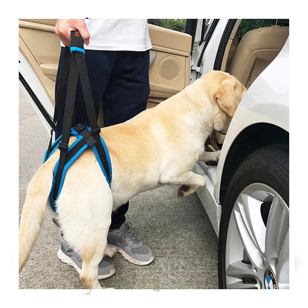 Neue Pet Bein Riemen Walking Halterung Hund Bein Gürtel Hinterbeine Unterstützung Harness mit Unterstützen Sling für Alte Verletzt Hunde