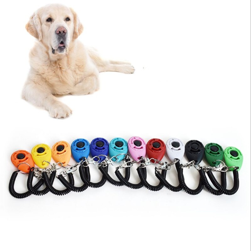 Haustier ausbildung Film katze und hund ausbildung kunststoff werkzeuge stehen-allein Trainer einstellbar Armbinde keychain Haustier Klang ausbildung