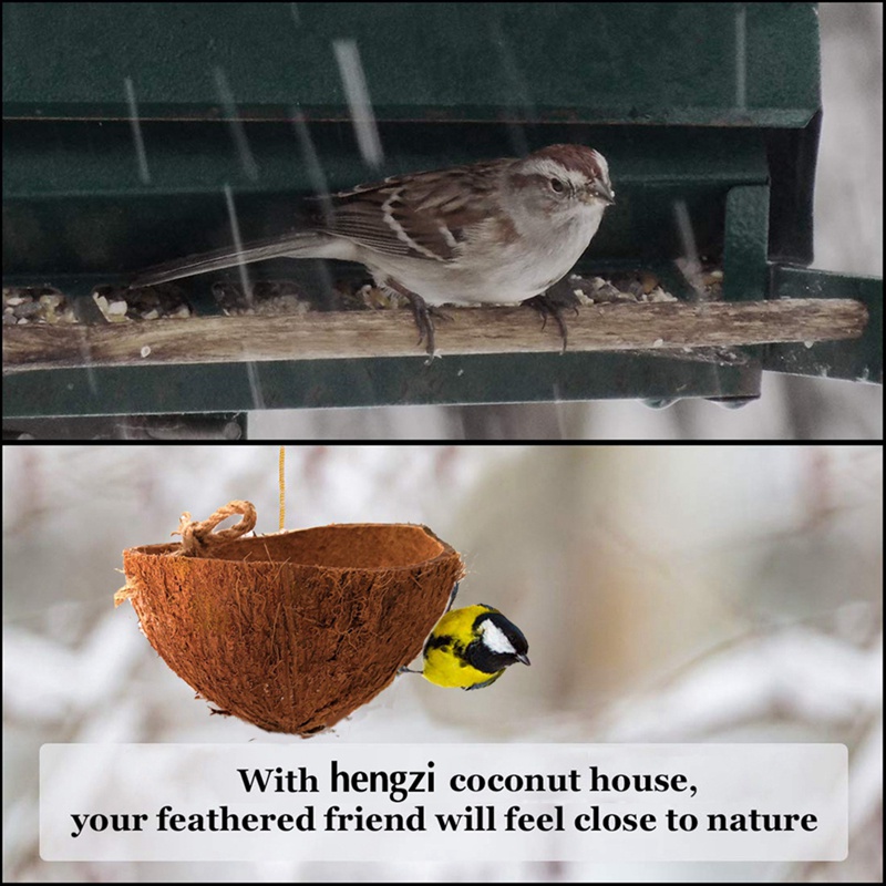 Pet Cage Shake Coconut Shell Parrot Coconut Shell Hanging Basket Swing Bird Toy Parrot Coconut Shell Toy Bed Rest Place