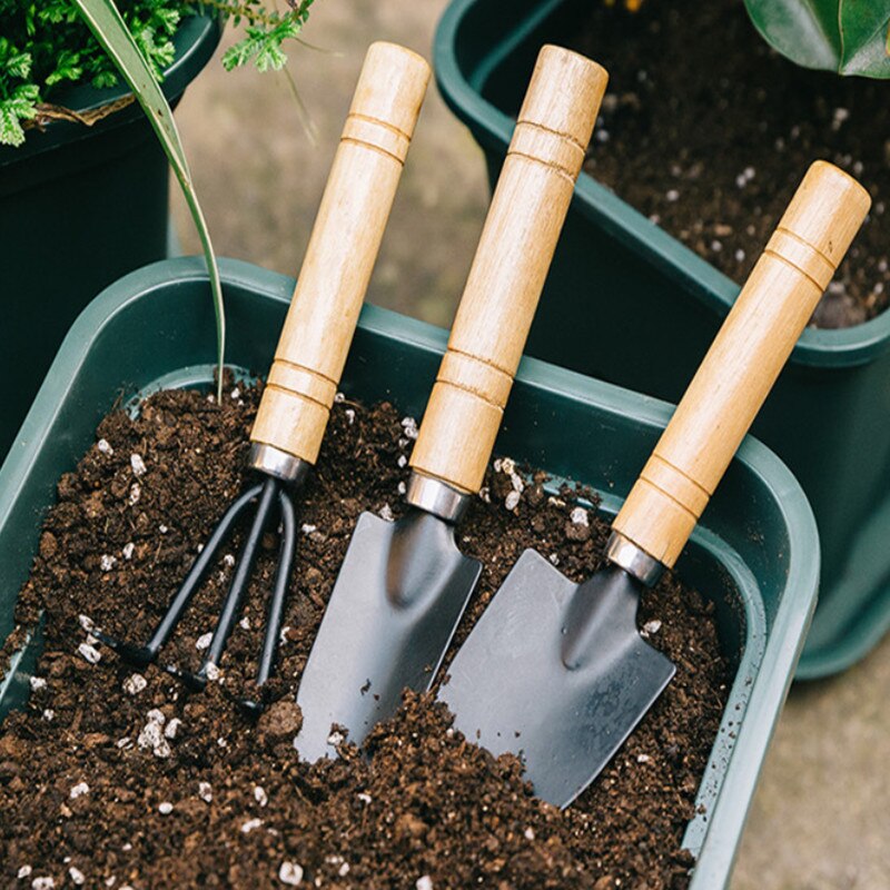 3 Set Transplanter Garden Shovel Stainless Tools Small Hiking Cultivating Orchard Plants Bonsai Flower Mini Wooden Spade