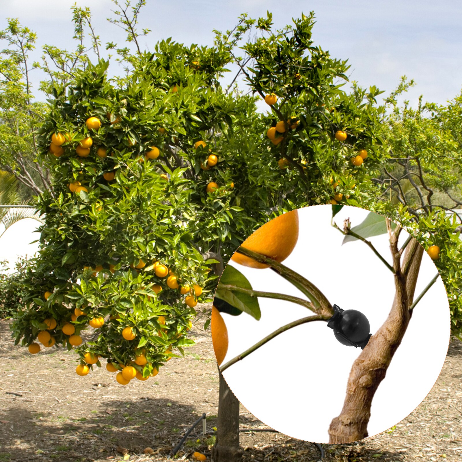 5 Pack Tree Root Growing Box Rooting Ball Grafting Tools Reusable High Pressure Tree Rooter Air Layering Propagation Kit