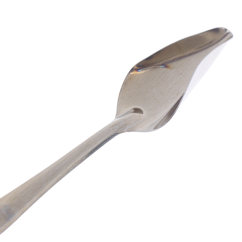 2 unids/set loro cuchara de alimentación de agua de acero inoxidable en polvo de leche en polvo de cucharas pájaro suministros