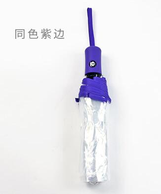 8 rippe transparent regenschirme voll automatische klapp dach für weibliche frauen klar sonnenschirm kompakte outdoor regen paraguas YS004: B purple