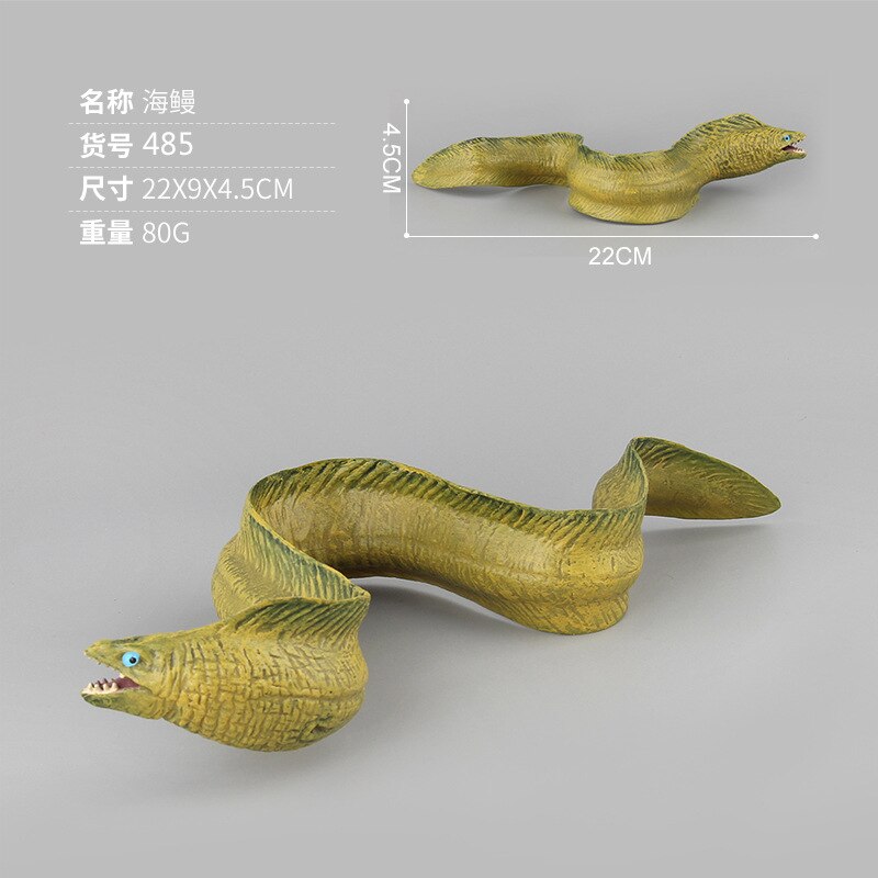 Modell Marine Organismus Meer Aal Dunkleosteus Segelfisch Solide Meeresboden Ebene freundlicher Spielzeug Kognitive: Pl127 485 Aal 80G