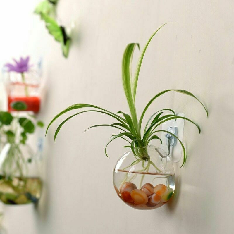 Tuin Thuis Opknoping Glazen Bal Vaas Bloem Planter Potten Terrarium Aquarium Aquarium Container Huis Tuin Decoratie