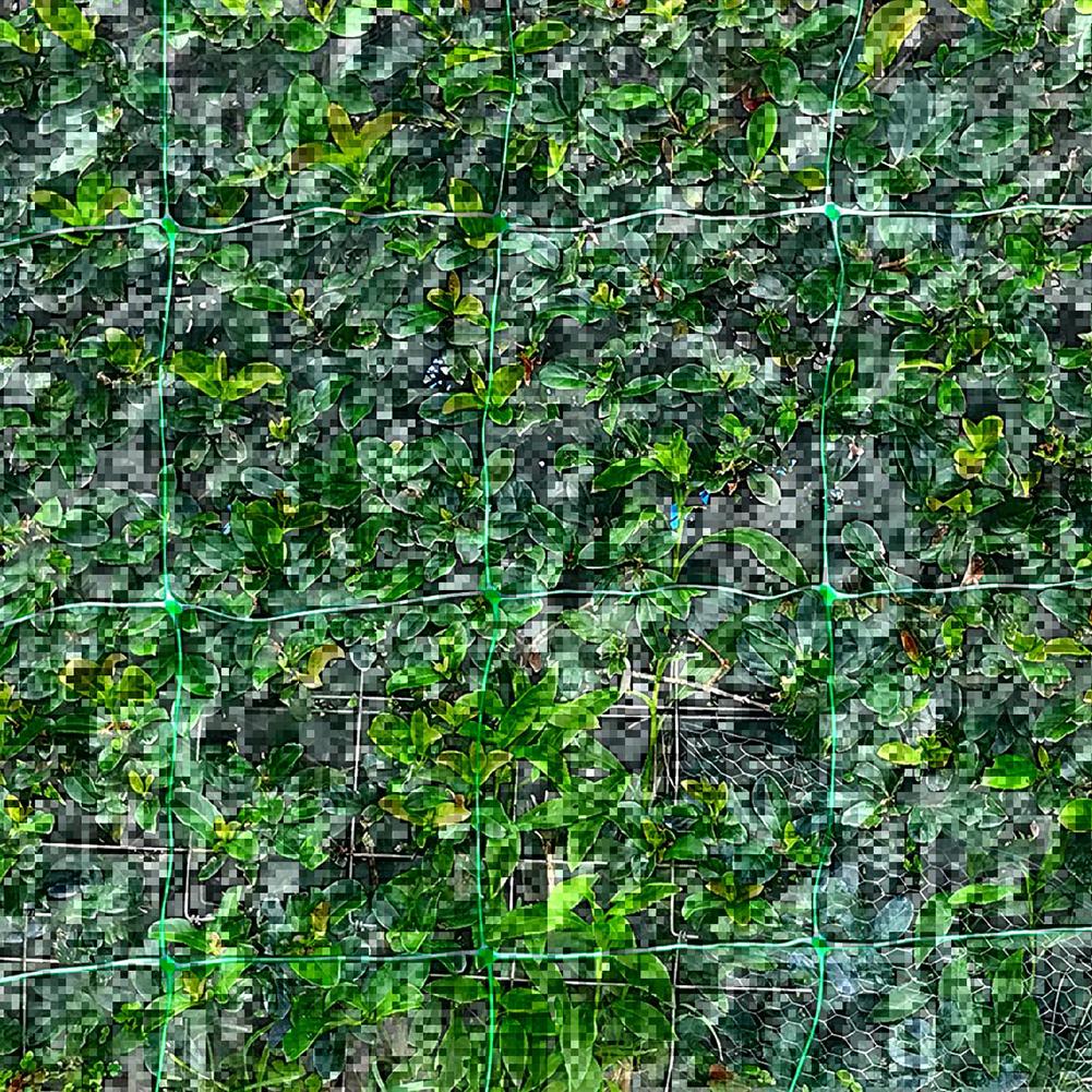 Plant Trellis Netting Pea Netting Green Garden Netting Trellis Net for Bean Fruits Vegetables Climbing Plants