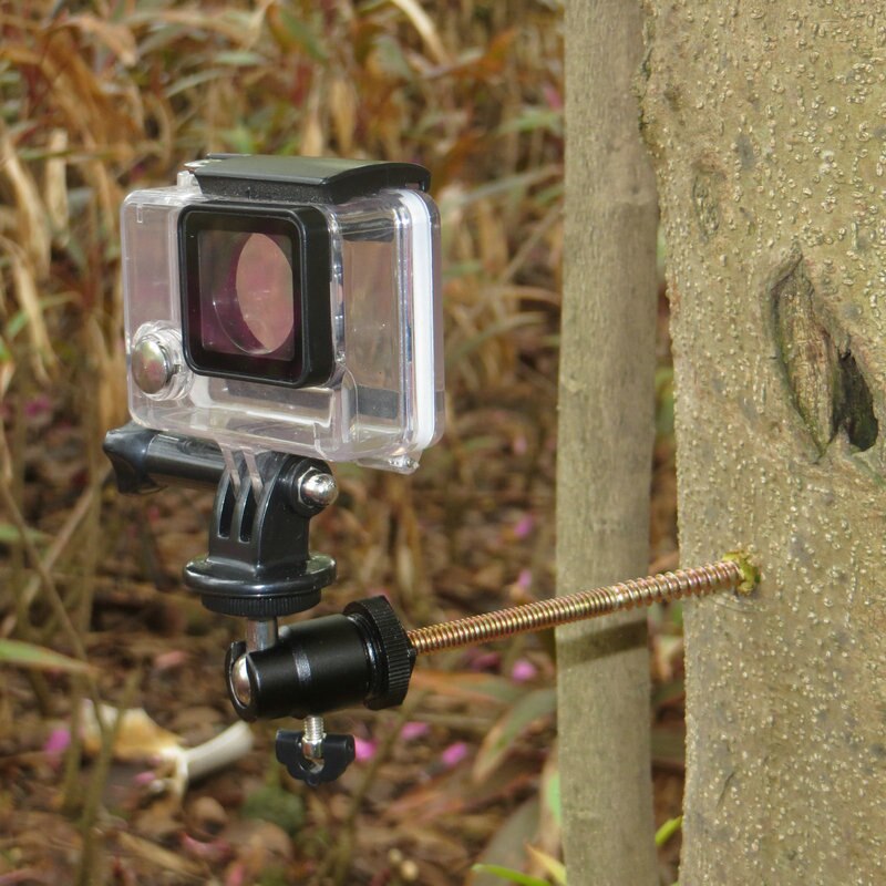 Ruuvattava puinen puukiinnitysteline, jossa 1/4-20 kameran kuulapää + kolmijalan kiinnitys gopro hero pov -toimintakameroihin, metsästyspolkukamera